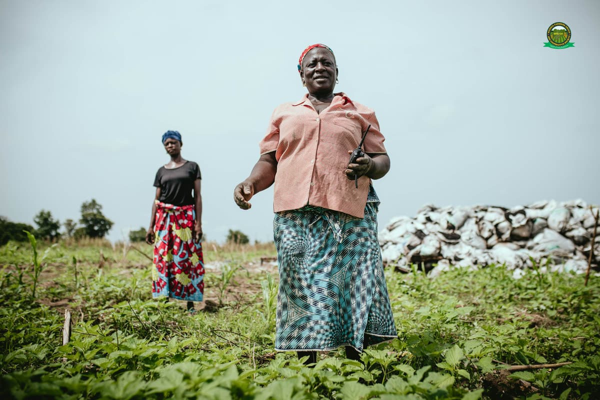 Verified farmers in the field — Nasarawa agricultural community